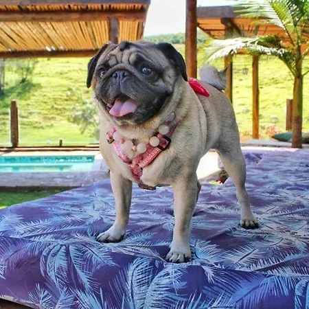 Villa Aye Socorro Sp - Pousada Petfriendly-2